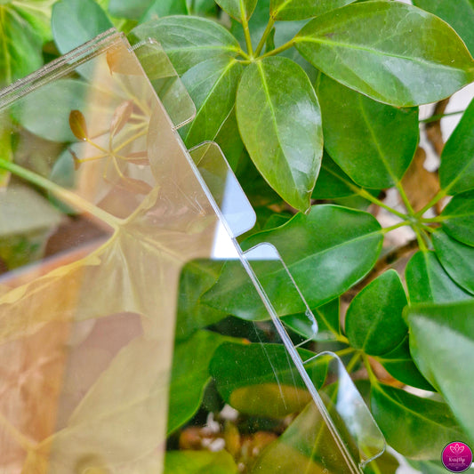 ACRYLIC SQUARE ALBUM