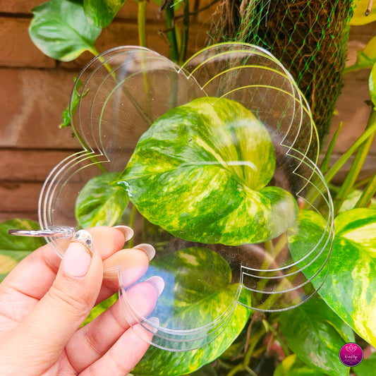 MINI ACRYLIC FLOWER ALBUM